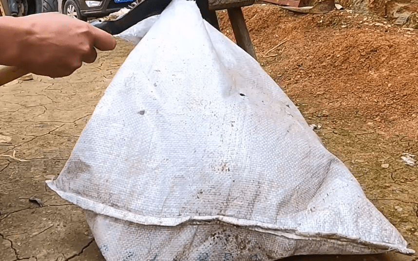 小哥500撿漏賣到一只虎斑犬，轉眼就有人愿花800買它，可網(wǎng)友對它卻滿是爭議