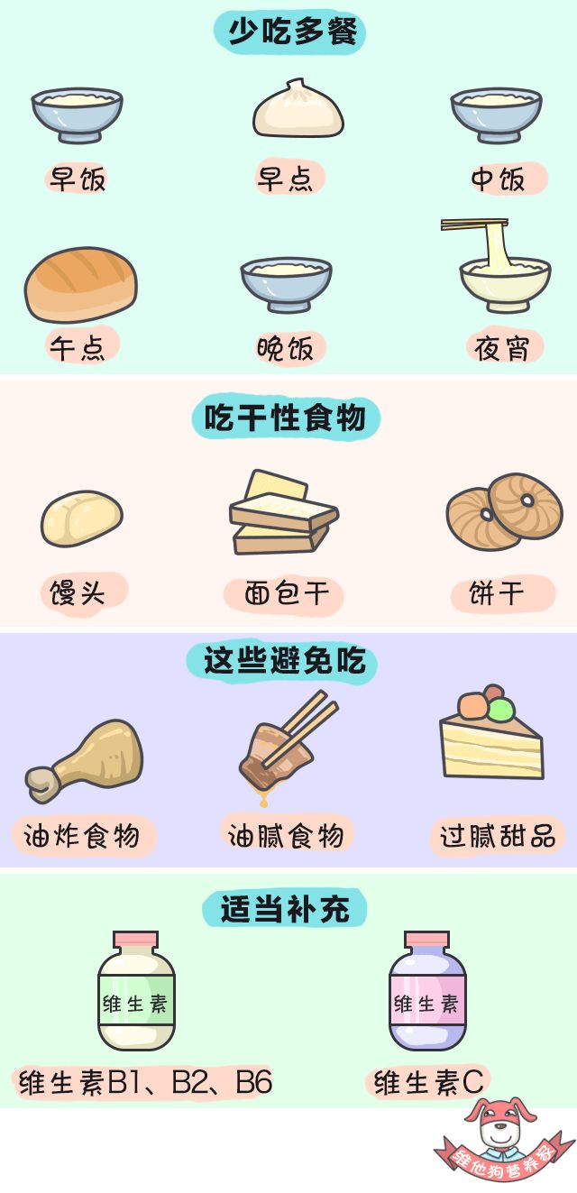 狗狗懷孕吃些什么營養(yǎng)品_狗狗懷孕吃什么有營養(yǎng)_狗狗懷孕補充營養(yǎng)吃什么