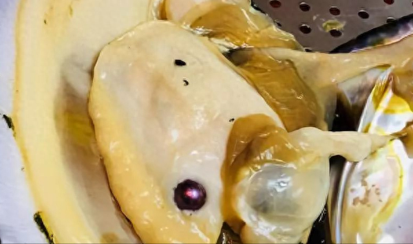 彩虹珍珠多肉_多肉彩虹糖和紫珍珠區別_珍珠彩虹多肉好養嗎