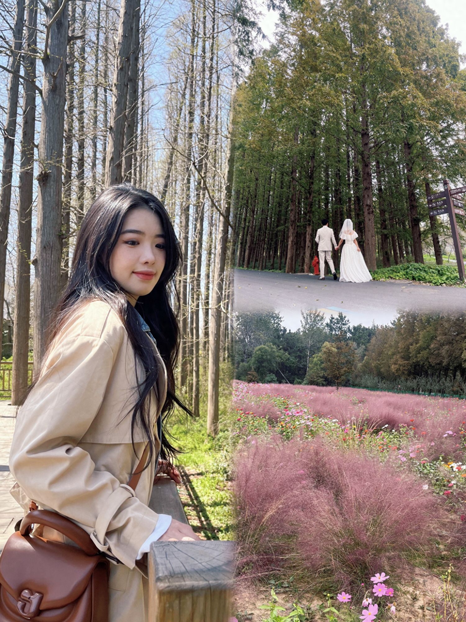 日照旅游攻略必去景點三天_日照三日游旅游攻略_日照3天攻略