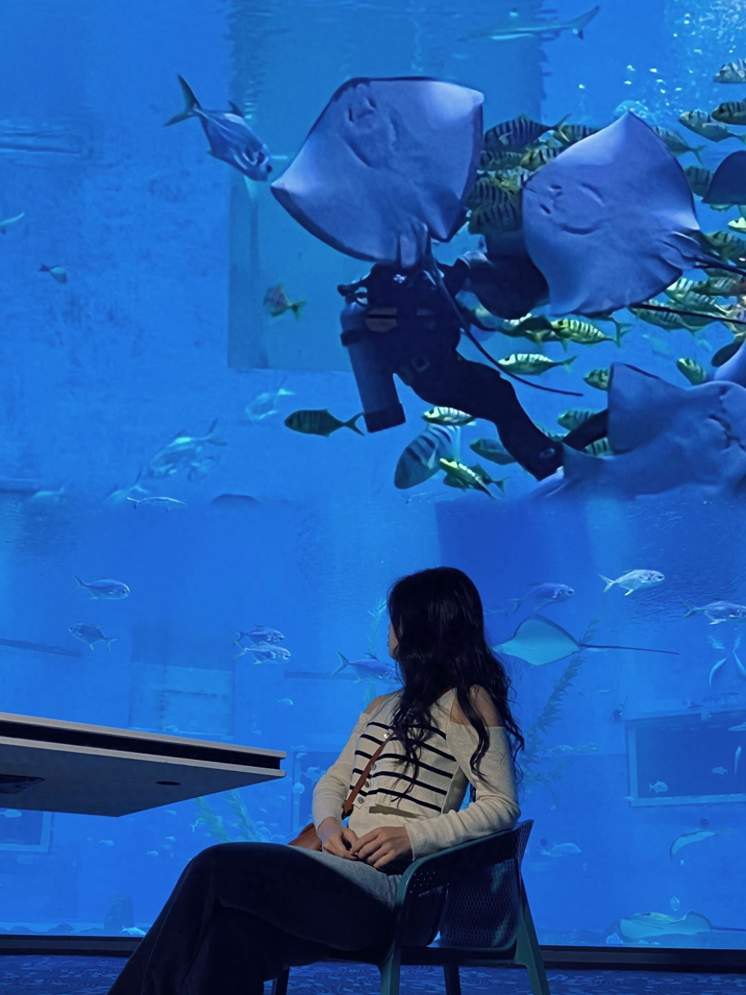 日照3天攻略_日照旅游攻略必去景點三天_日照三日游旅游攻略