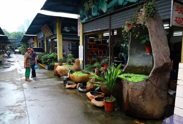 廣州批發觀賞魚的市場_廣州賣觀賞魚的地方_廣州觀賞魚批發市場在哪里