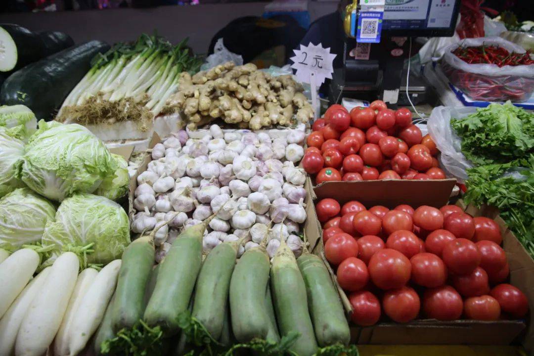 杭州市觀賞魚批發市場_杭州觀賞魚批發市場_杭州賣魚的市場