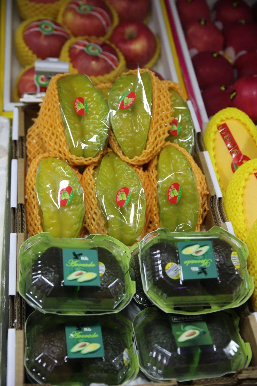 杭州賣魚的市場_杭州市觀賞魚批發市場_杭州觀賞魚批發市場