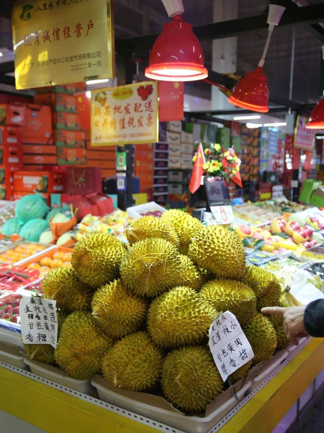 杭州市觀賞魚批發市場_杭州賣魚的市場_杭州觀賞魚批發市場