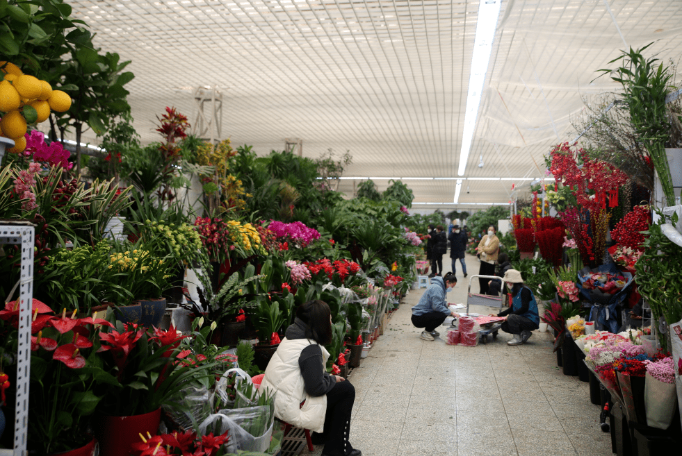 杭州觀賞魚批發市場_杭州市觀賞魚批發市場_杭州賣魚的市場