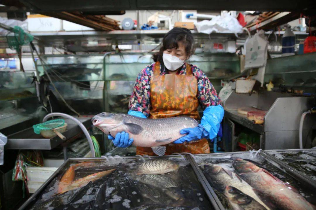 杭州市觀賞魚批發市場_杭州賣魚的市場_杭州觀賞魚批發市場