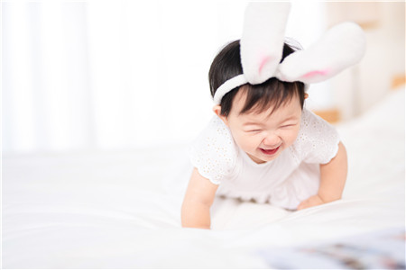 小孩打狂犬疫苗多少錢一針