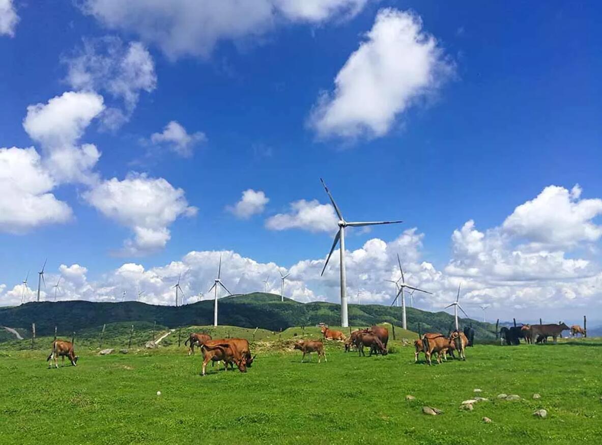 桂林南山牧場(chǎng)在哪里_桂林南山牧場(chǎng)自駕游攻略_桂林南山牧場(chǎng)旅游攻略