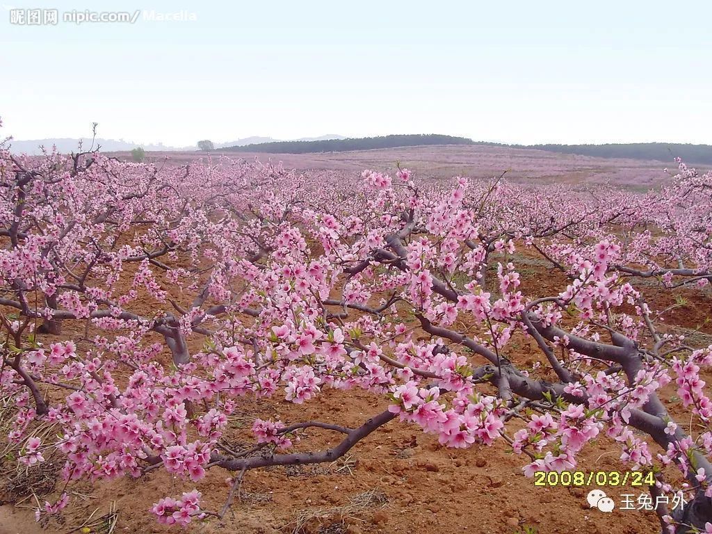 丹東河口景區(qū)游玩時間_丹東河口景區(qū)一日游攻略_丹東河口旅游攻略必去景點