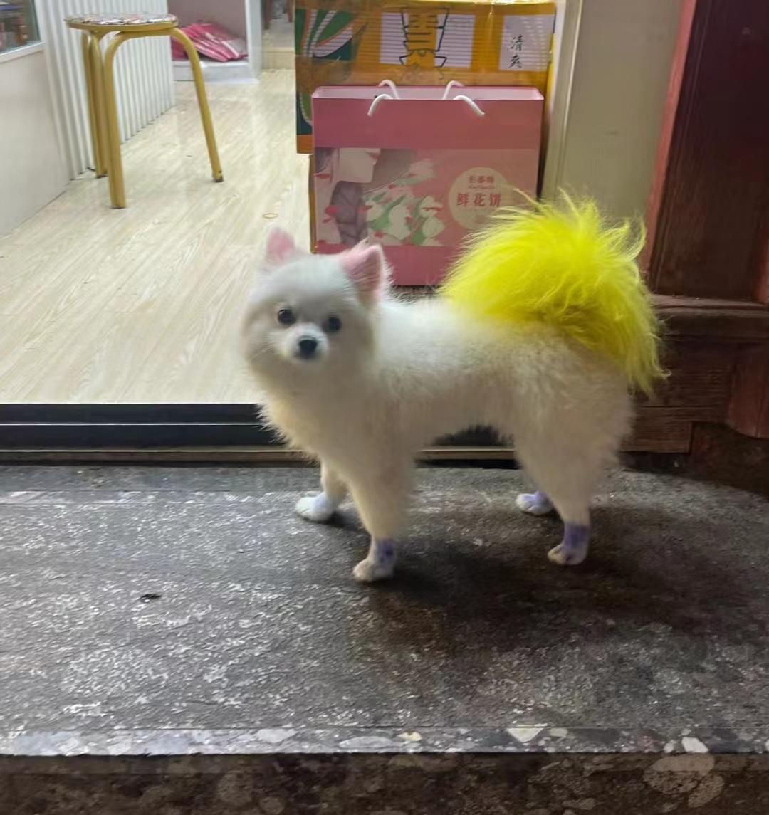 到云南旅游全攻略_去云南旅游線路_云南去旅游攻略