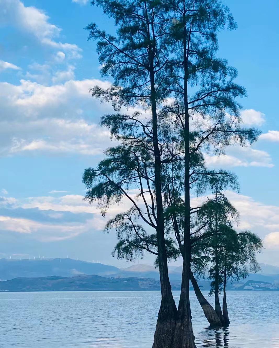 到云南旅游全攻略_云南去旅游攻略_去云南旅游線路