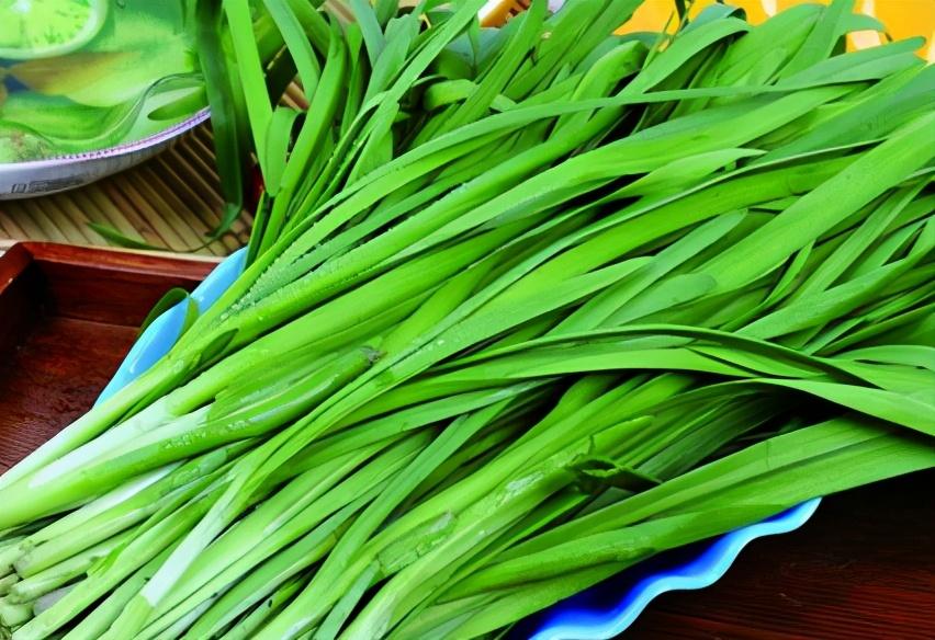 狗狗可以吃韭菜嗎_狗狗韭菜吃可以減肥嗎_狗狗韭菜可以吃嗎