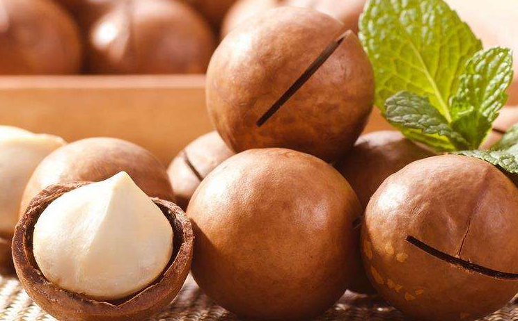 狗狗韭菜可以吃嗎_狗狗韭菜吃可以減肥嗎_狗狗可以吃韭菜嗎