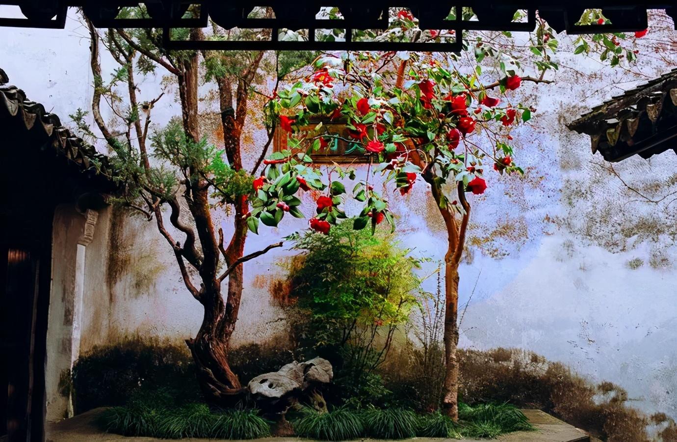 金雞湖攻略_金雞湖旅游攻略看看_金雞湖游玩攻略