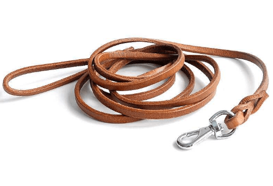 狗狗生理期可以洗澡嗎_狗狗生理洗澡期可以驅蟲嗎_狗狗生理洗澡期可以洗頭嗎