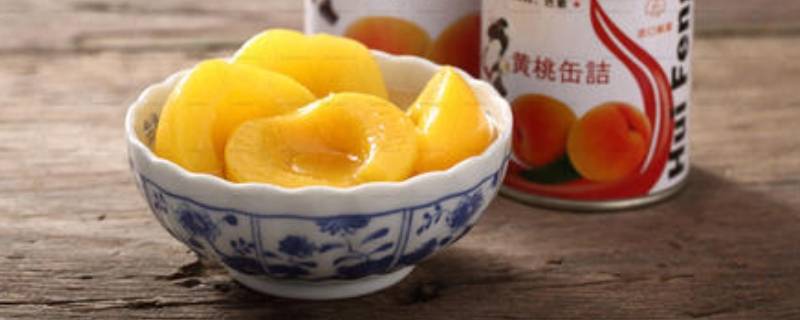 養觀賞魚的小說_主角養觀賞魚發家的小說_養魚的小說