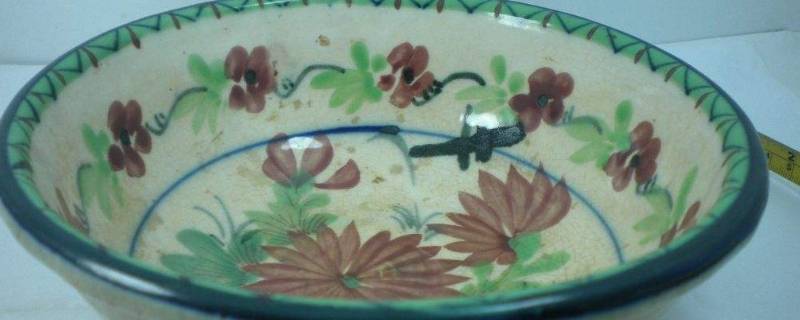 養觀賞魚的小說_主角養觀賞魚發家的小說_養魚的小說