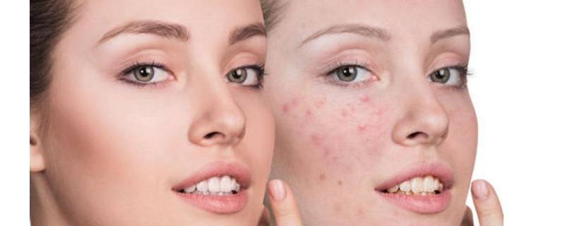 養觀賞魚的小說_主角養觀賞魚發家的小說_養魚的小說