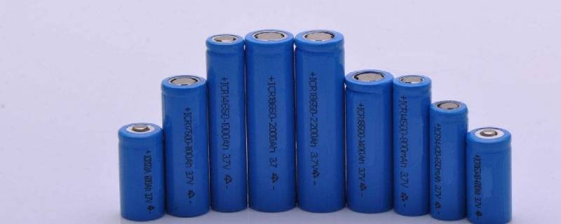 主角養觀賞魚發家的小說_養觀賞魚的小說_養魚的小說