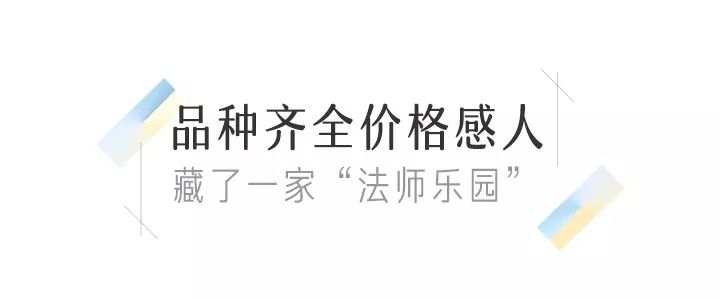 八尺鏡多肉_八尺鏡多肉_八尺鏡多肉