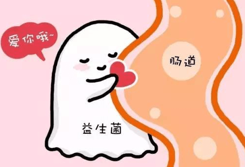 稀狗狗大便軟回事正常嗎_稀狗狗大便軟回事怎么辦_狗狗大便稀軟怎么回事