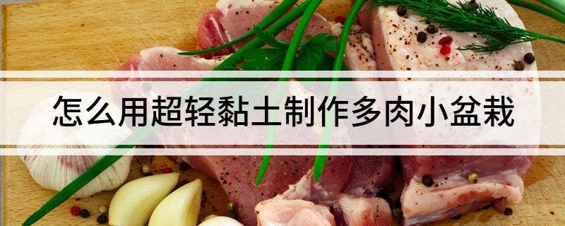 粘土捏多肉植物教程_超輕粘土捏多肉_捏粘土輕多肉怎么捏
