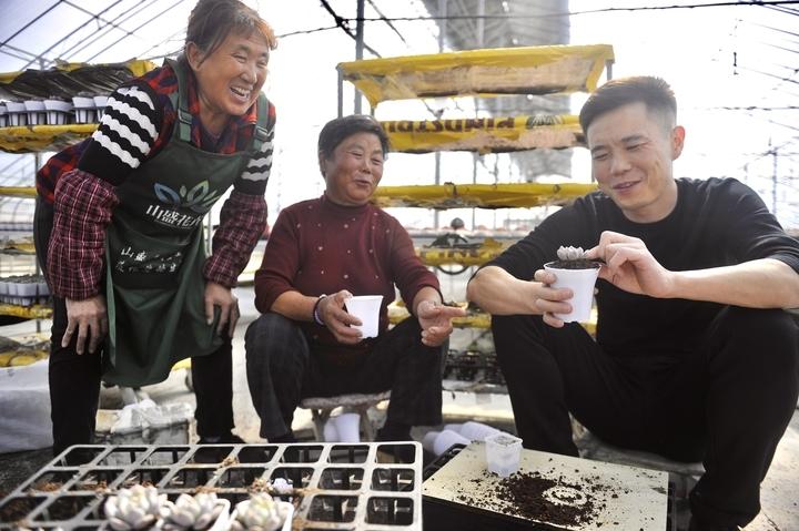 總寫名言的叫迭名_多肉本名叫什么_多肉命名怎么來的