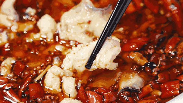 觀賞鯊淡水魚能吃嗎_淡水觀賞鯊魚的種類大全_淡水鯊觀賞魚