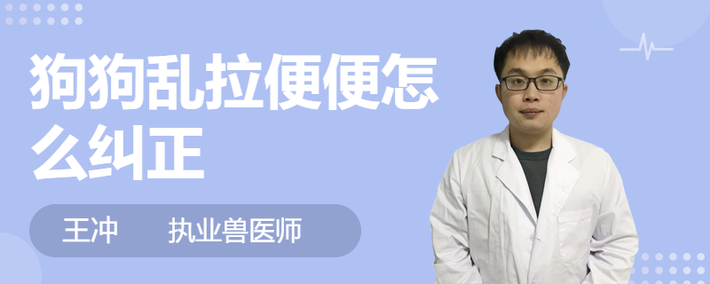 狗狗亂拉便便怎么糾正