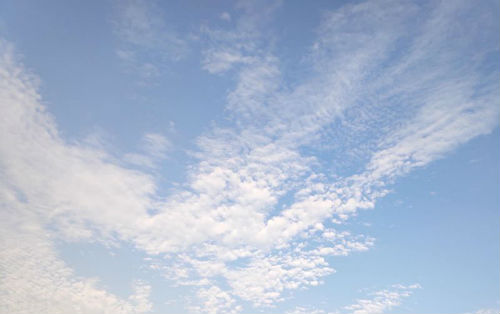 女神節祝福語優美獨特 祝福女人美麗語簡短