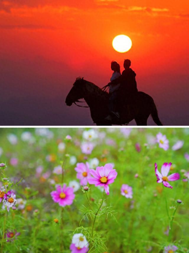 宜昌市旅游攻略_宜昌市內旅游攻略_宜昌市十大旅游景點排名