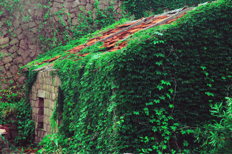 寧波去東極島自駕游攻略_寧波出發東極島旅游攻略三天_寧波怎么自駕去東極島