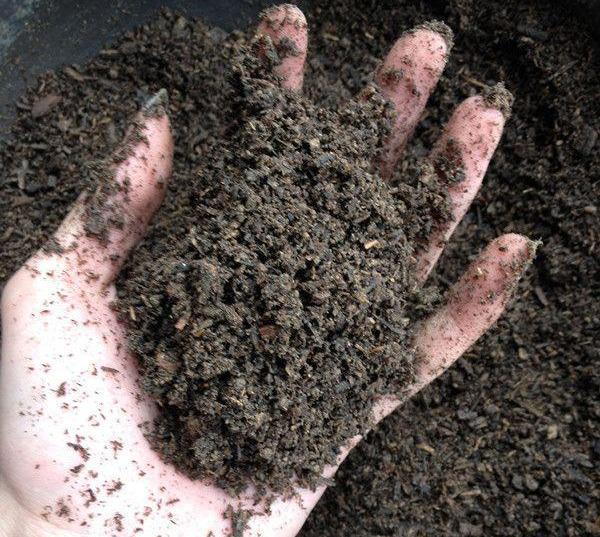 多肉專用盆_多肉盆具_(dá)多肉專用花盆