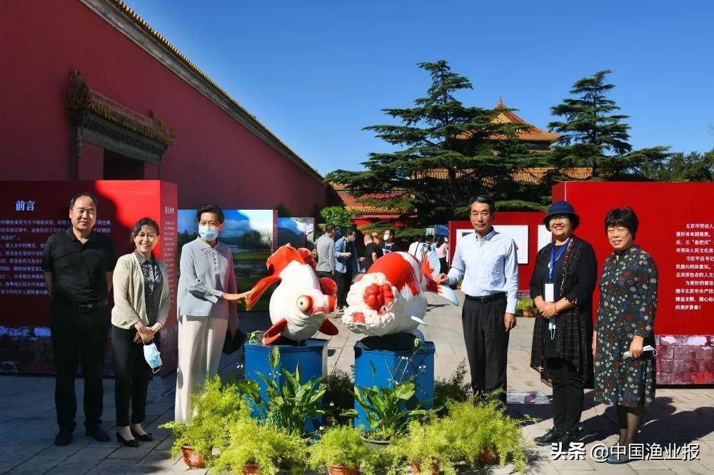 觀賞魚診所_觀賞魚場_觀賞魚醫(yī)院