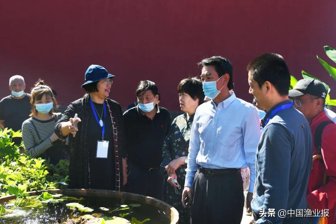 觀賞魚醫(yī)院_觀賞魚場_觀賞魚診所