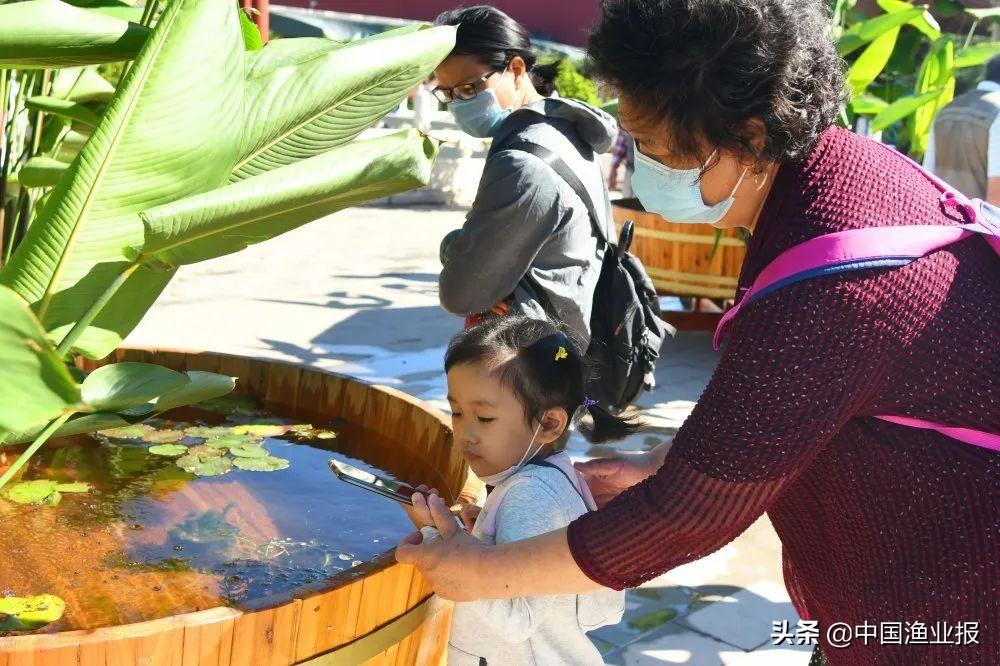 觀賞魚診所_觀賞魚醫(yī)院_觀賞魚場