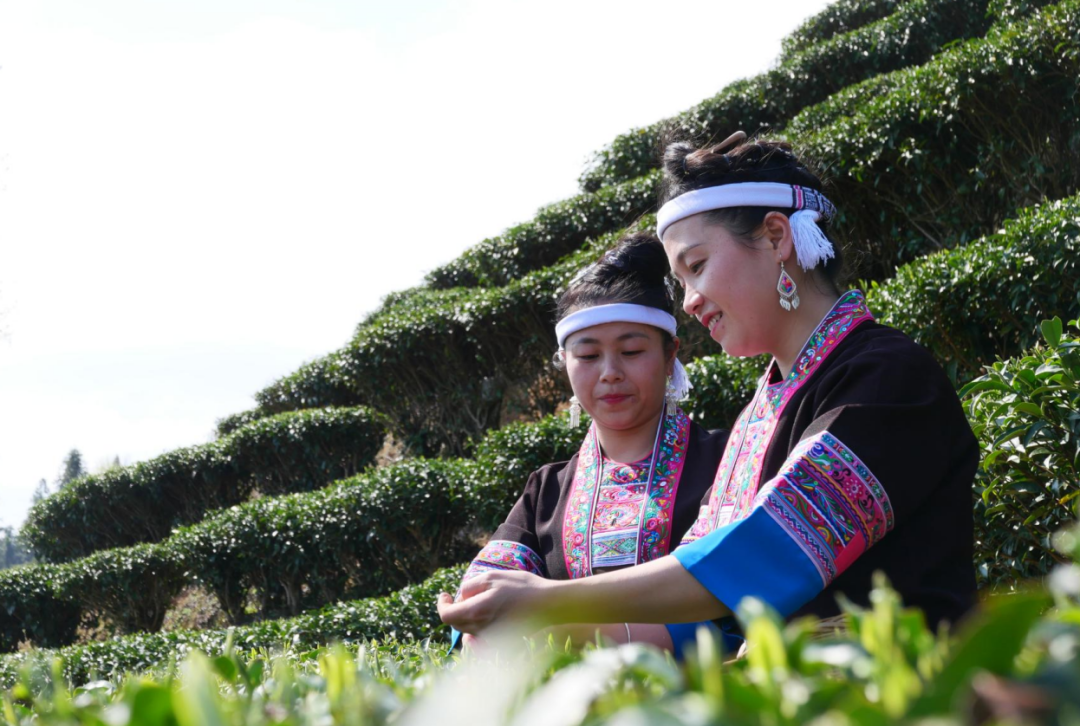 柳州網站制作_柳州大型網站設計公司_柳州有多少家網站制作公司