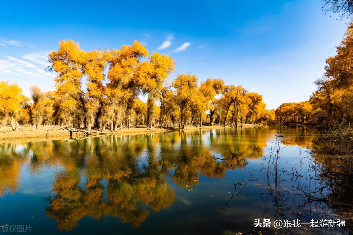 胡楊林景區旅游攻略_胡楊林旅游路線_胡楊林旅游團報價