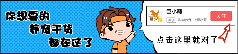 狗叫說(shuō)明_狗叫是啥意思_狗叫預(yù)示什么意思