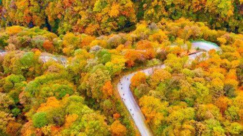 漢中龍頭山風(fēng)景圖片_漢中龍頭山是什么山脈_漢中龍頭山旅游攻略