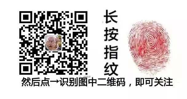 植物多肉大概多長(zhǎng)時(shí)間澆一次水_多肉植物 大_植物多肉大全圖片