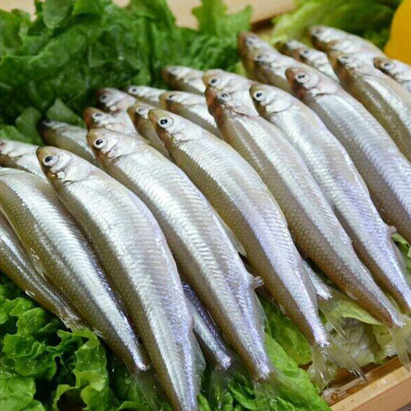 冷水觀賞魚長大后會死嗎_長不大的冷水觀賞魚_冷水觀賞魚長大后怎么養