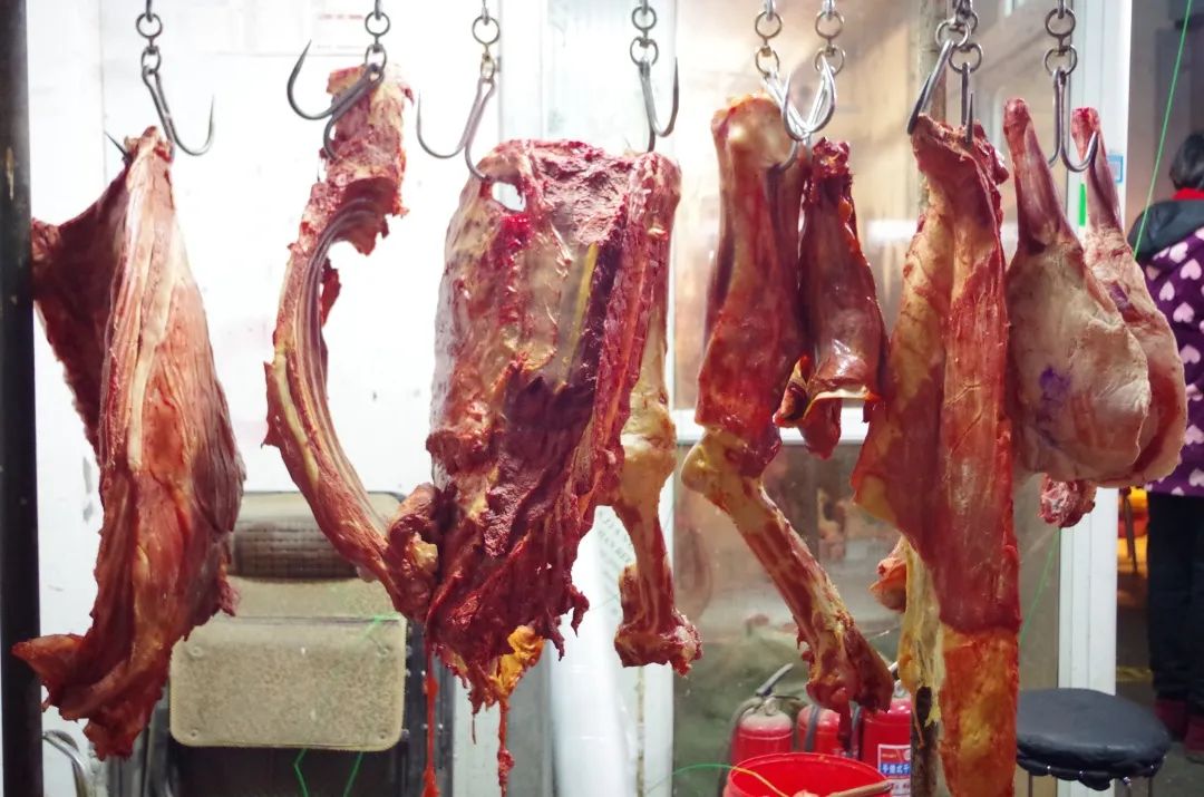 觀賞魚批發市場進貨_批發觀賞魚可以買嗎_哪里可以批發觀賞魚