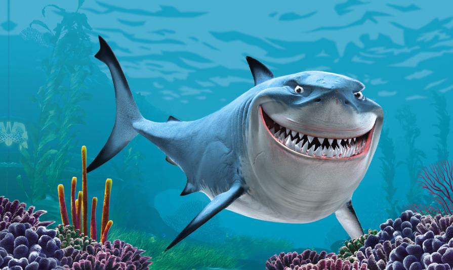 觀賞魚之最-最好養最兇猛最奇葩最呆萌